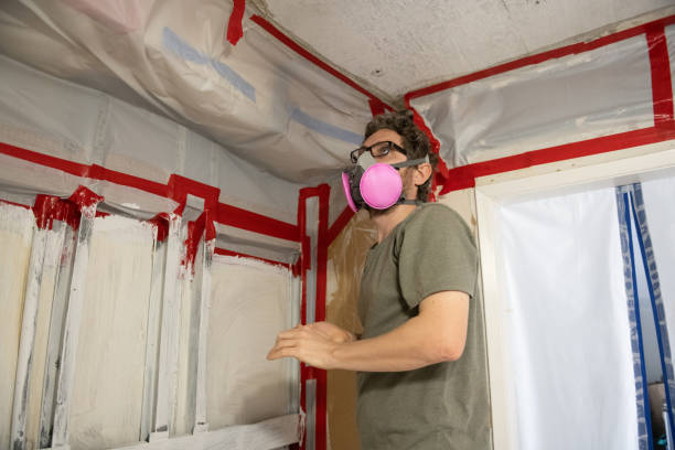 Mold Remediation for Rental Properties in Plainview, NE